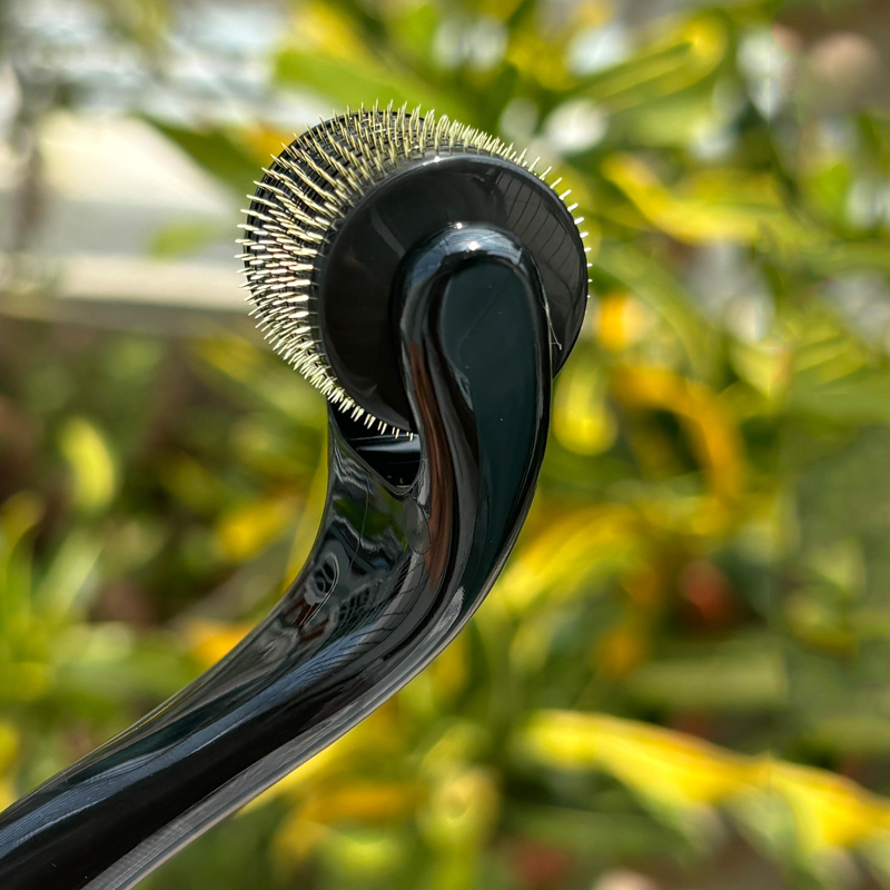 The titanium needle design ensures long-lasting, sterile use, supporting anti-aging benefits like wrinkle reduction and scar fading, while promoting hair regeneration and scalp health for a natural, youthful look.
