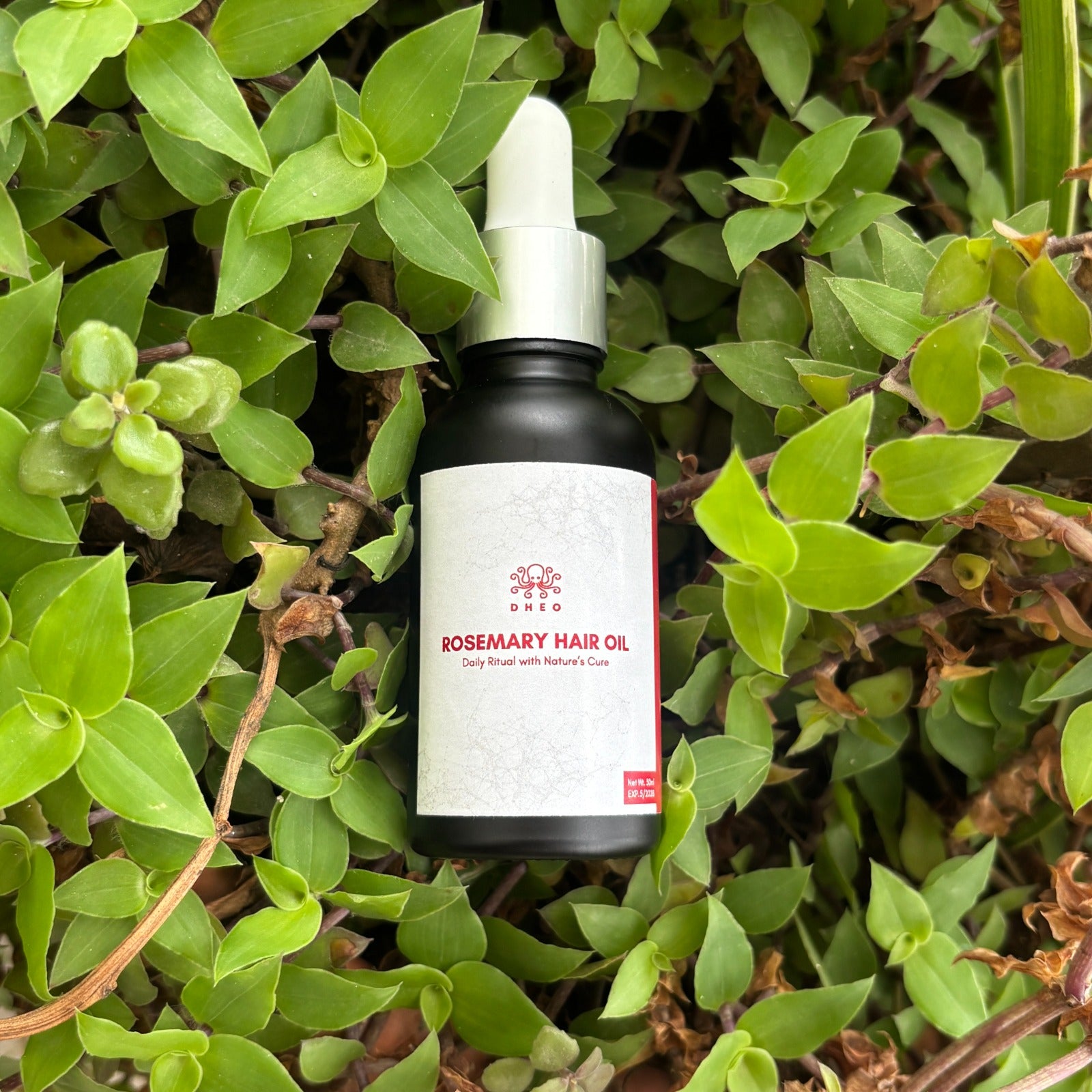 Promote fuller, shinier hair with nature’s best oils.Strengthens strands and soothes scalp irritation.